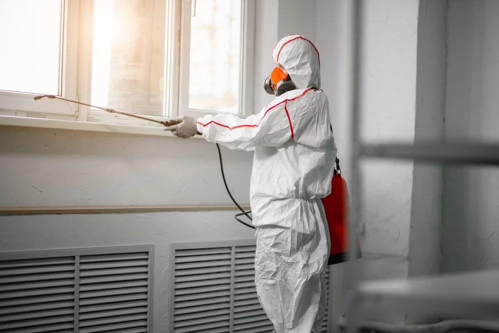 Professional mold remediation services in Walhonding, OH